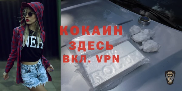 тгк Алексин