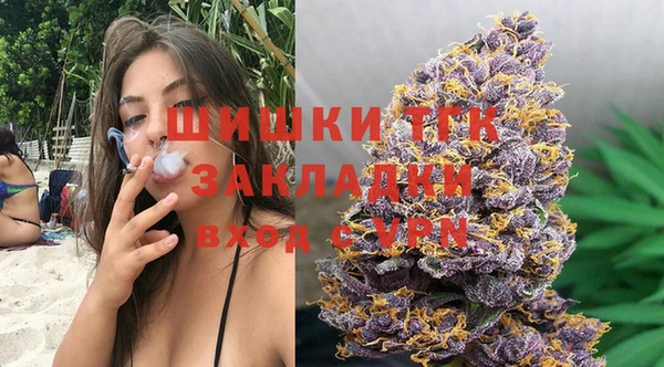 тгк Алексин