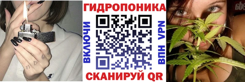 МАРИХУАНА планчик  Грязовец 